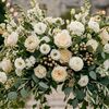 white and cream colored flowers