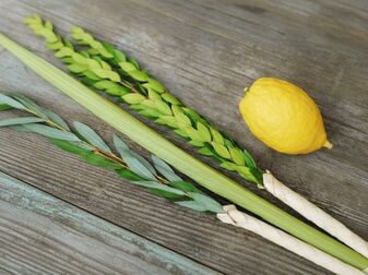 A Heartfelt Thank You: How Your Generosity Brought the Celebration Back to Sukkos