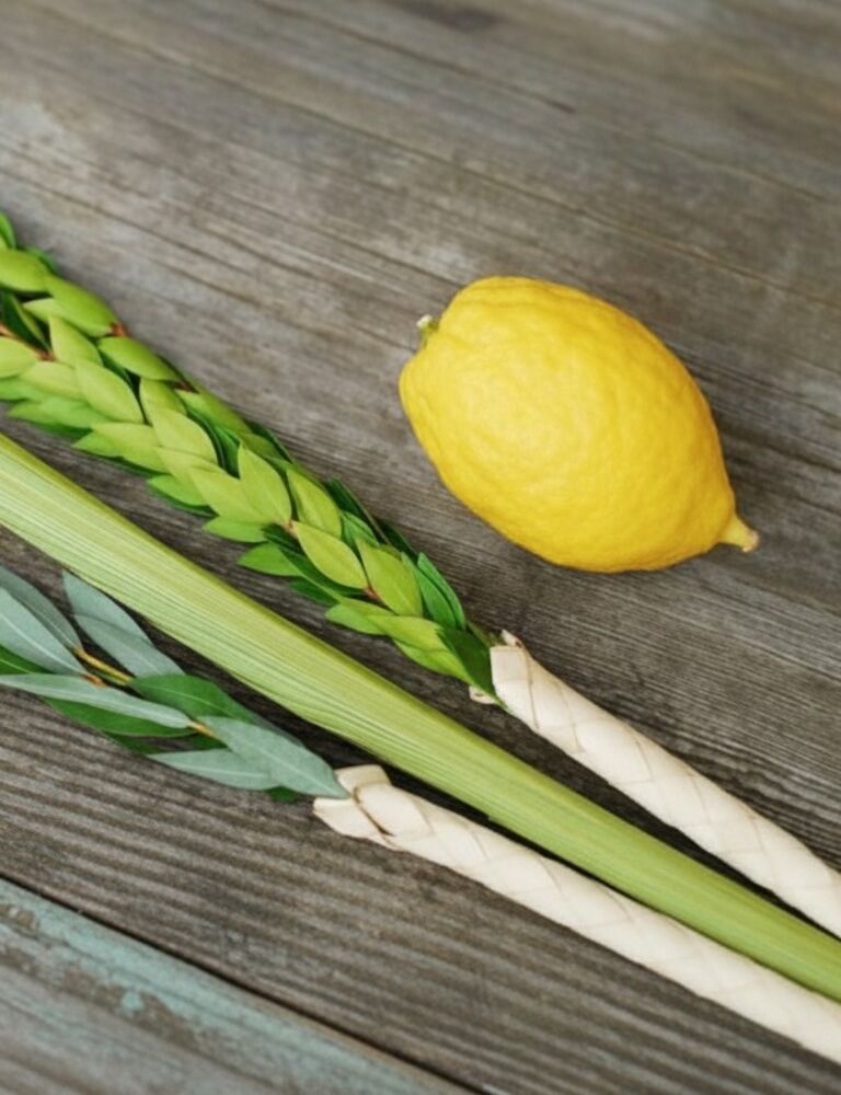lulav and etrog on a table
