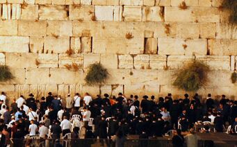 800 Almanos. 4,000 Needy Families.