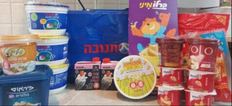 variety of dairy food products