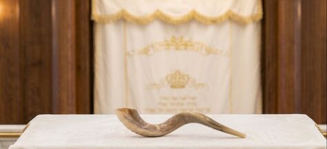 shofar on bima with aron in background